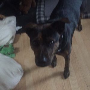 Meet your Posher, Joanne